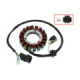 Bronco Stator CF Moto