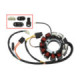 Sno-X Stator, Arctic Cat
