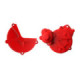 Polisport Kit Clutch+Igni. GasGas EC250/300 (17->) Red (18)