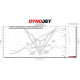 (2025) Ducati Panigale V4 / V4S Stage 1+ Performance Calibration With Handheld Tuner