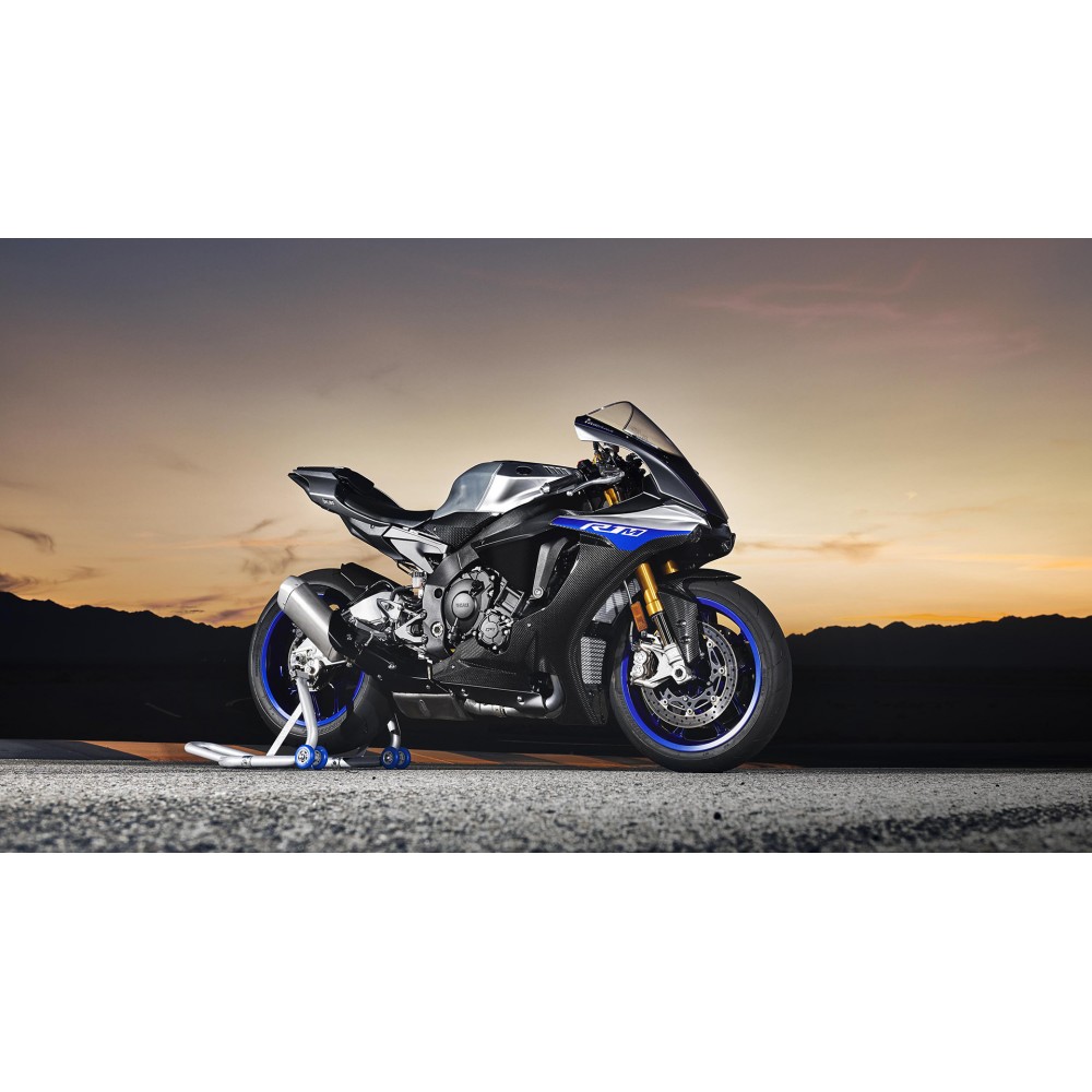2019 best sale yamaha r1m