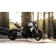 DUCATI DIAVEL 1260 (16-22)