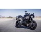 TRIUMPH SPEED TRIPLE 1050 (06-20)